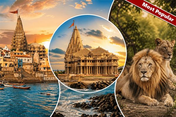 Dwarka | Somnath |Sasan
