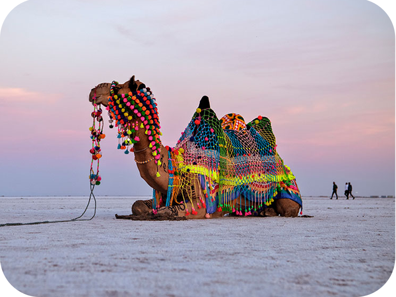 Rann of Kutch